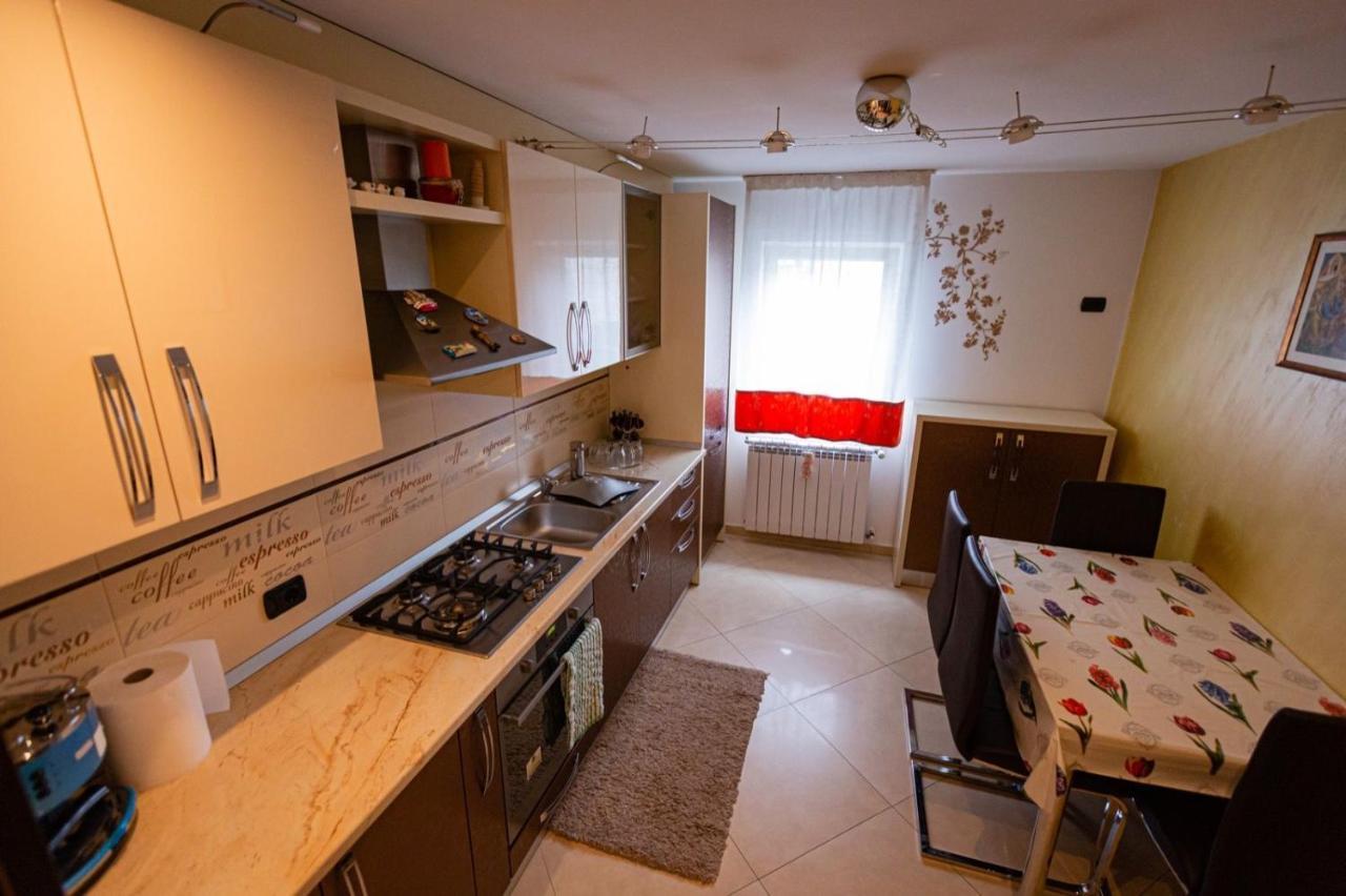 Apartament Danci. Borşa Buitenkant foto